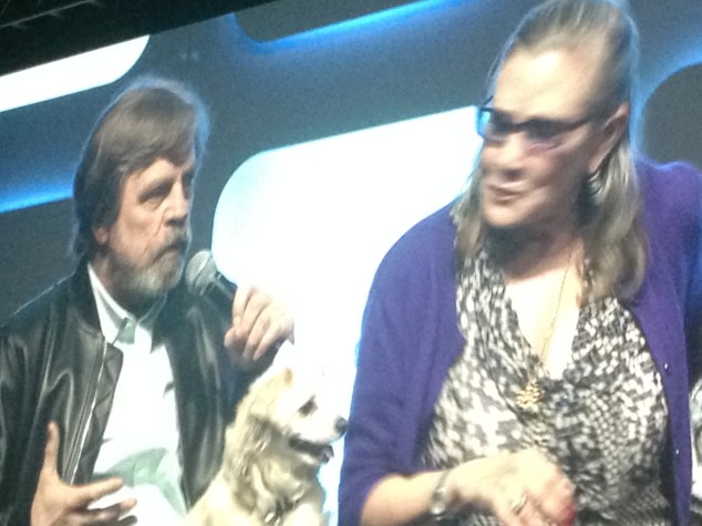 Mark Hamill and Carrie Fisher at final panel
